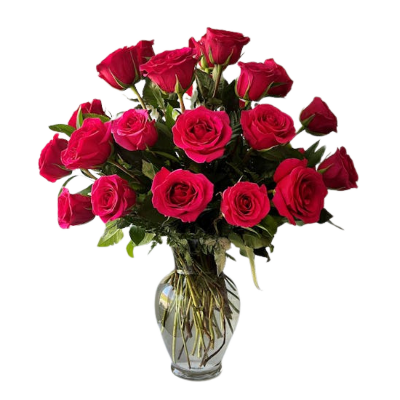 2 Dozen Classic Hot Pink Roses