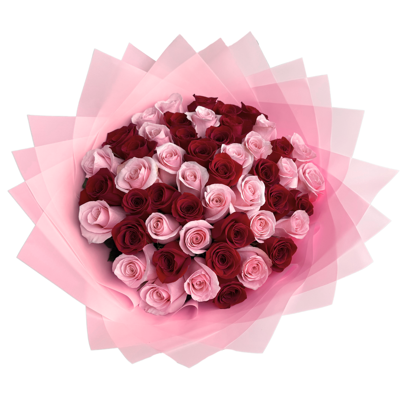 50 Pink & Red Roses Bouquet
