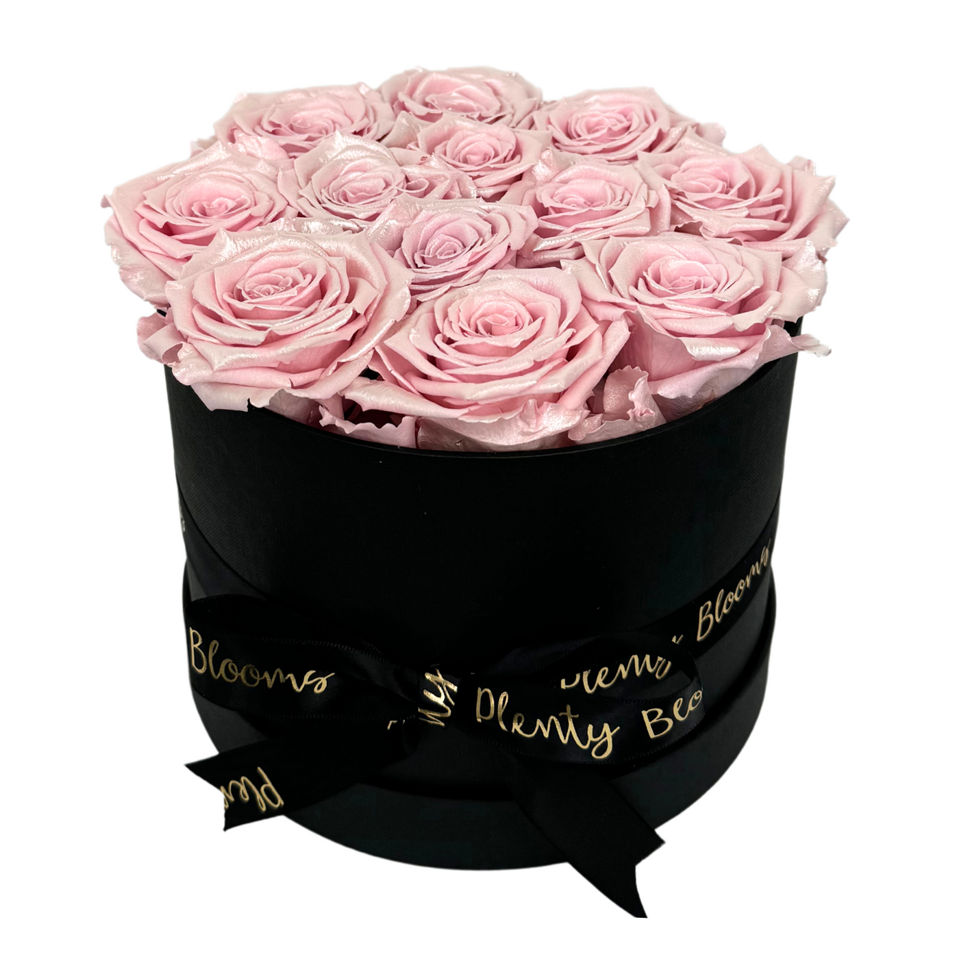 Signature Pearl Pink Preserved Roses Gift Box