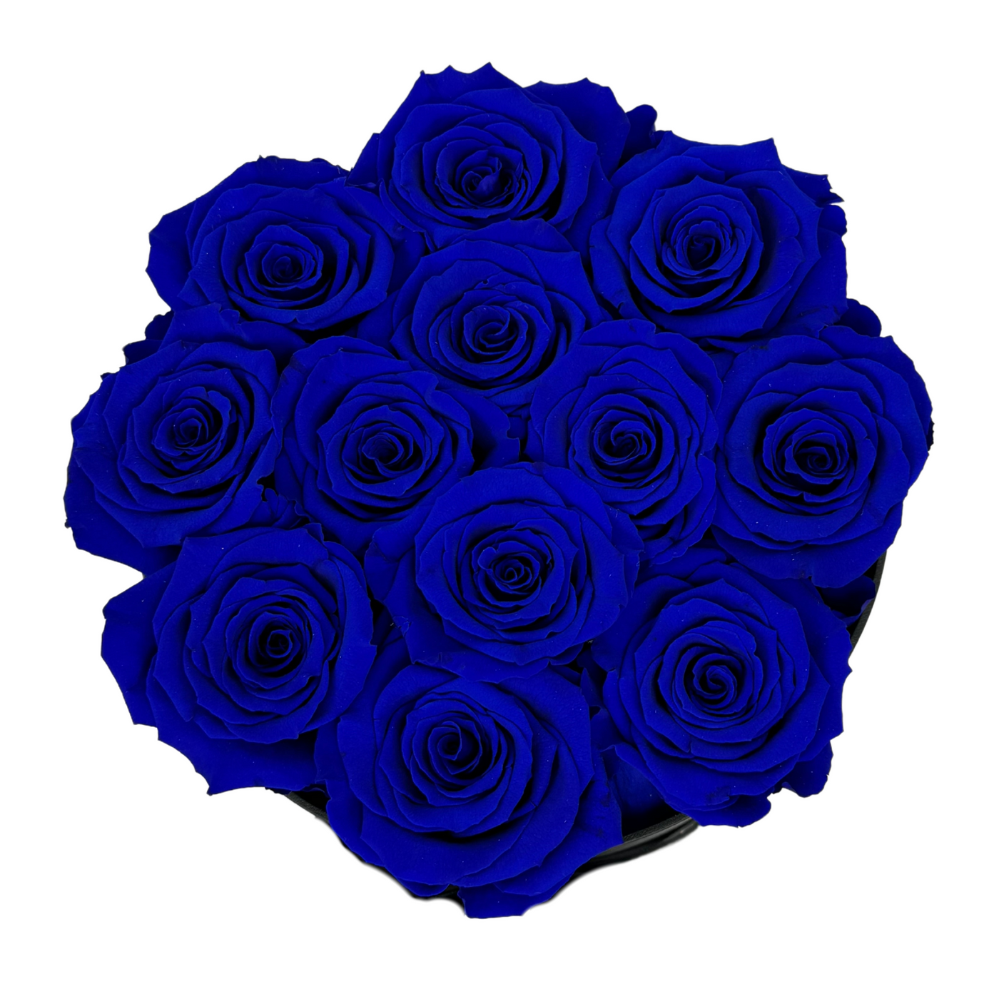 Signature Royal Blue Preserved Roses Gift Box