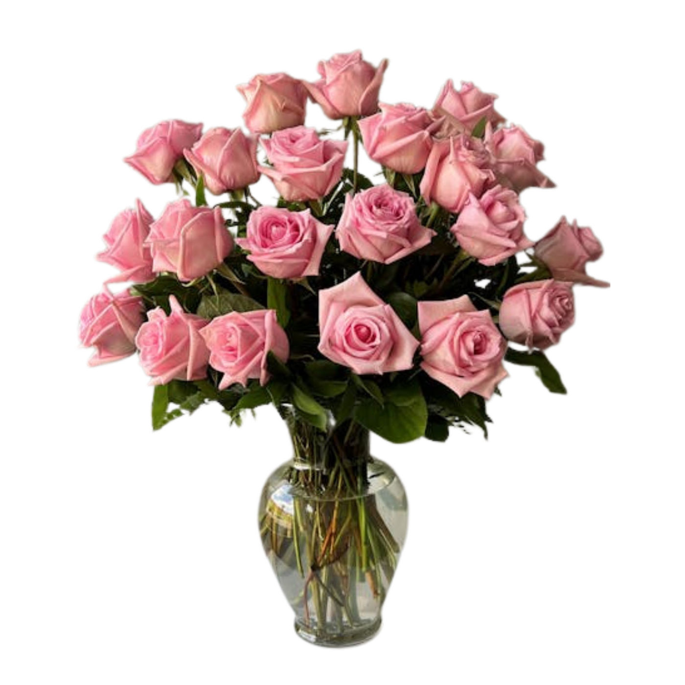 2 Dozen Classic Pink Roses
